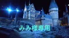 みみ様専用出品