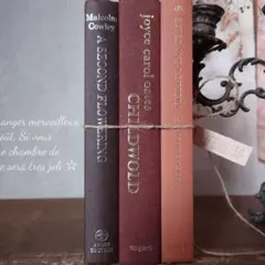 ronB112 お洒落な組み合わせ ヴィンテージ 洋書 ディスプレイ 2025年最新】洋書ディスプレイの人気アイテム - メルカリ