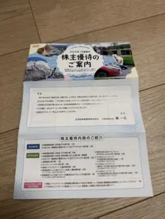 【最新】日本駐車場開発　株主優待券　1冊