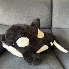 鴨川シーワールド　シャチ ぬいぐるみ