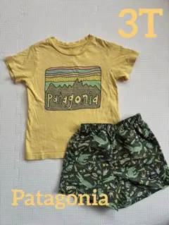 patagoniaキッズTシャツ＆水陸両用ショートパンツ セット3T