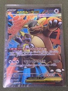 メガガルーラex sr
