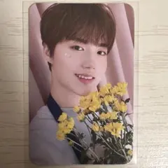 treasure blooming ドヨン　トレカ