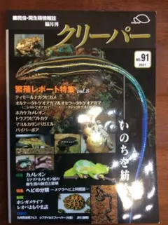 Item thumbnail for item 89bfbbb3-0208-46fc-ab74-d718af9a199e