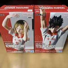 HAIKYUU!! ポージングフィギュア 2体セット