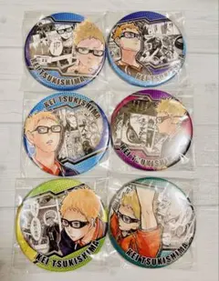 ハイキュー　月島蛍　ハイキュー展　原画展　HEROES コレクション缶バッジ