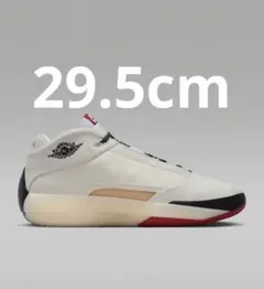 2026年最新】AIR JORDAN バスケットボール シューズ(男性用)の人気 