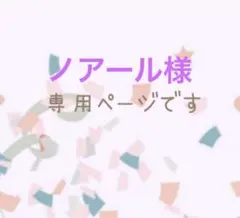 ノアール様　専用ページです♡