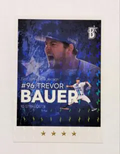 Item thumbnail for item a45719fd-320c-45dd-a7d0-79a5a9f49c17