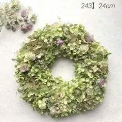 248】ドライフラワーリース　秋色紫陽花ラウンドリース　グリーンにピンクのフリル 248】ドライフラワーリース 秋色紫陽花ラウンドリース グリーンに