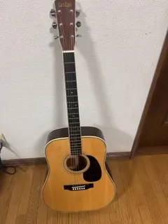 2025年最新】tokai アコースティックギターの人気アイテム - メルカリ