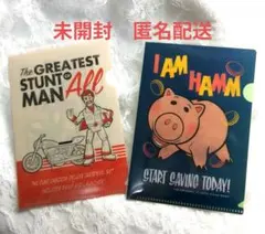 トイ・ストーリー　クリアホルダー　ファイル２枚　ハム他　TDR