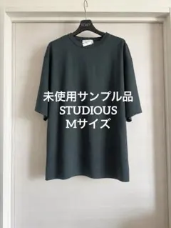 未使用サンプル品STUDIOUSロイヤルクール レギュラーTシャツ　Mサイズのサムネイル