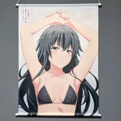 2026年最新】雪ノ下雪乃 タペストリーの人気アイテム - メルカリ