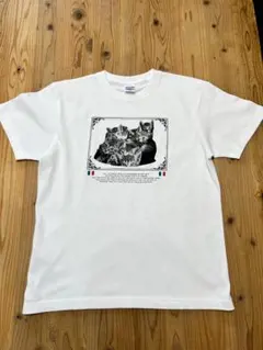 ②白黒子猫柄　保護猫支援　猫Tシャツ 男女兼用　NECO+PLUS　M L XL