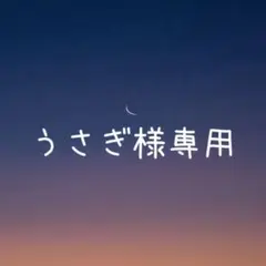 【うさぎ様】天然石 希少石 オレゴンサンストーン オーバルピアス S925 他