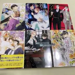 BL小説 6冊 まとめ売り