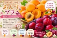 本州クール便込み1キロ【信州中野産旬のあんず＆プラム食べ比べセット】家庭用のサムネイル