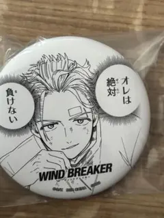 2026年最新】WIND BREAKER 缶バッジ 梅宮一の人気アイテム - メルカリ