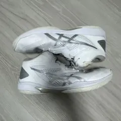 asics gel バスケットボール