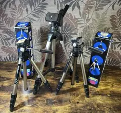 Item thumbnail for item 2ddeb412-6068-4939-9000-8f61b08bead2