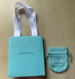 [未使用]Tiffanyティファニー巾着 ショッパー❤️
