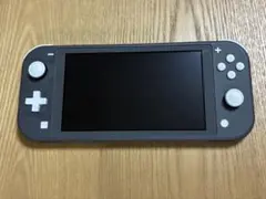 【ケース付美品】Nintendo Switch Lite グレー本体2024年製のサムネイル