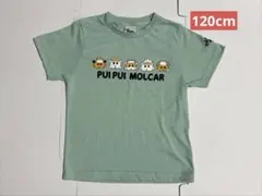 モルカー Tシャツ 120cm