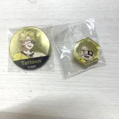 カラフルピーチ たっつん 2個セット まとめ売り