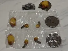 モンスターハンター捕獲し隊4 ドシャグマ×2