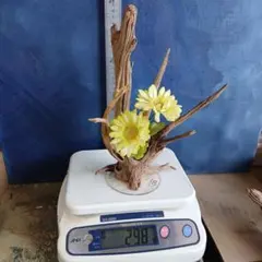 Item thumbnail for item babcc370-0fa2-449a-bed5-3580e4e9348a