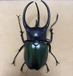 新品未使用 ハイキュー!! ハイドリ大感謝祭 缶バッチ 宮侑 ハイキュー!! ハイドリ大感謝祭 缶バッチ 宮侑