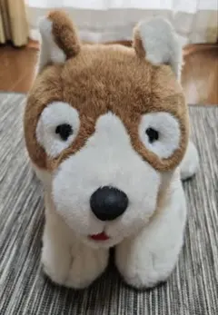 フランダース犬のぬいぐるみ 景品（カルピス）昭和40年代の珍しい物 フランダース犬のぬいぐるみ 景品（カルピス）昭和40年代の珍しい物