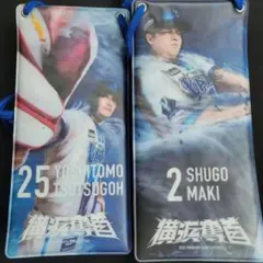 ベイスターズ　2025　チケットホルダーのサムネイル