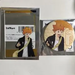 ハイキュー！！　日向翔陽　アニメツーリズム　アクリルカード　缶バッジ　セット