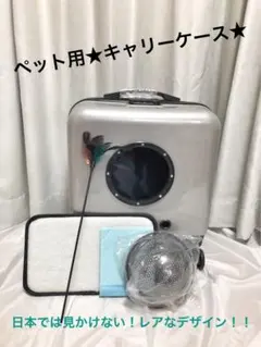 Item thumbnail for item 7b8ceafe-7ef4-491c-9d61-8473329c12a4