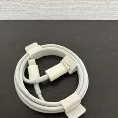 Apple USB-C to Lightning ケーブル 純正