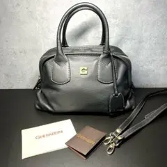 ゲラルディーニ レザー ミニボストン　ショルダーシボ革レザーGHERARDINIのサムネイル