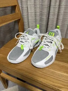 NIKE JORDAN HEIR PF （ウィメンズ） 27.5cm