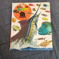 Item thumbnail for item 09e2f07f-0ddf-459f-8e53-7880d004b65a