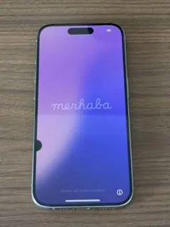 Apple iPhone15pro 512GB 液晶漏れあり　ジャンク