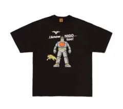 Item thumbnail for item a8ee38a5-c28c-419f-9662-c1cbd9d27ebd