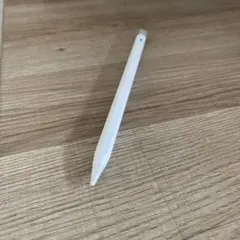 タッチペン iPad スタイラスペン Ciscle アップルペンシル