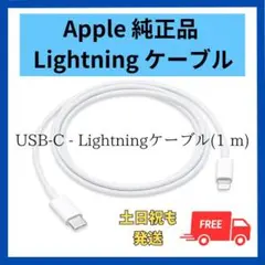 AirPods Pro 付属品 Lightning 純正 正規品 ケーブル 1本