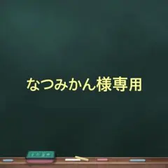 なつみかん様専用