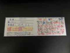 ヒロインズ アイドル