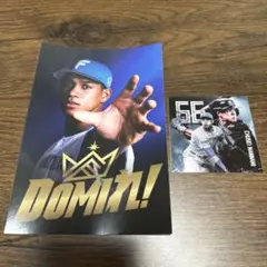 【万波中正】66 北海道日本ハムファイターズ　ステッカー　DOMIれ！