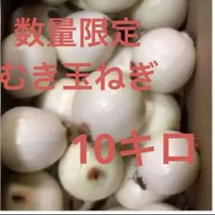 淡路島　玉ねぎ　むき玉ねぎ　10キロ　淡路島たまねぎのサムネイル