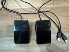 【2台セット】PC用フットスイッチ　RI-FP1BK USB