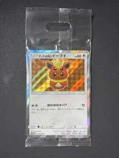 2026年最新】ポンチョを着たイーブイの人気アイテム - メルカリ